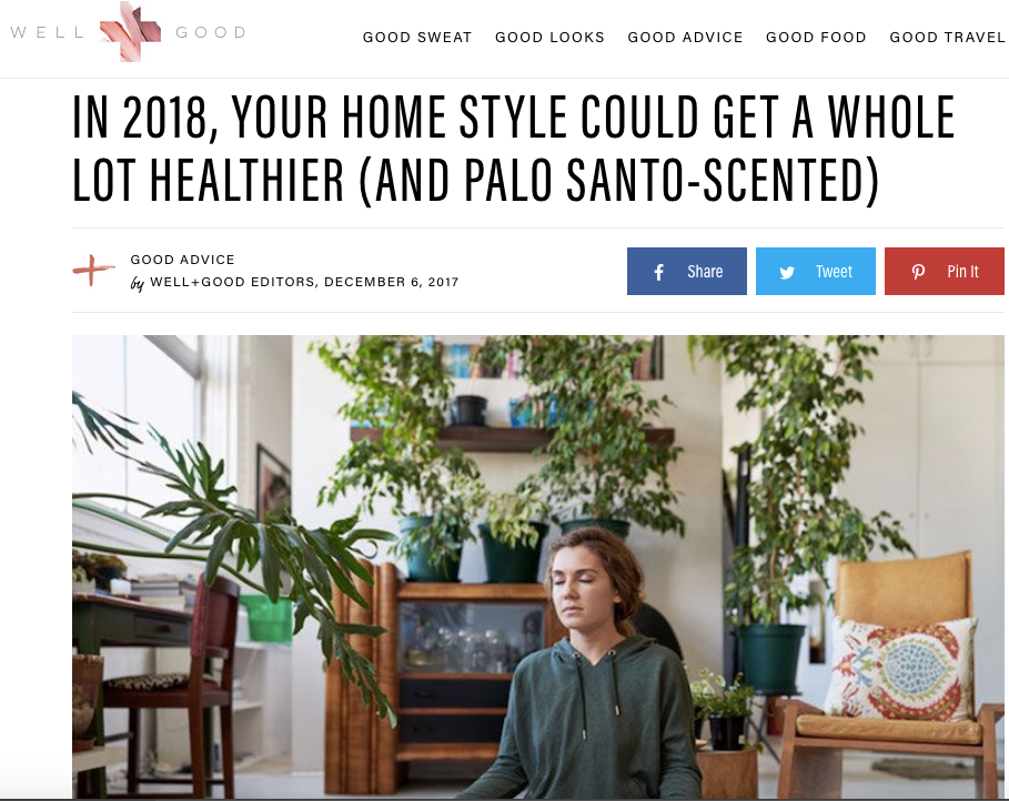 Well + Good: Holistic Home Trend