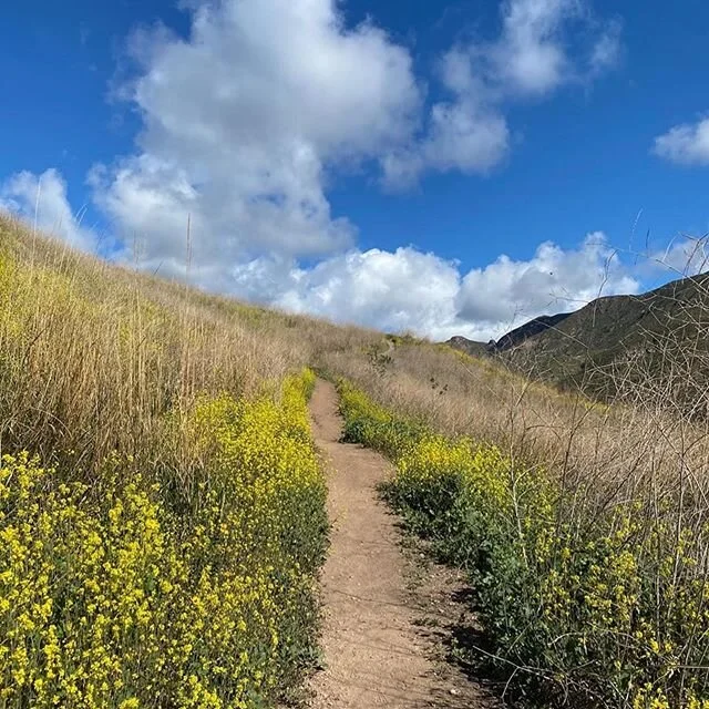 “How she realized that no one was coming to save her, she was going to have to save herself. Like we all do. We save ourselves. Everyday.”
💪🏻
I’ve been thinking a lot about this too. For all of us. Deep gratitude beloved wise women @reesewitherspoon and @cherylstrayed 🙏🏻
🌼
#Repost @reesewitherspoon
・・・
I’ve been thinking a lot about @CherylStrayed lately. About her 1000 mile journey on the PCT after the death of her mother and her divorce. How lost she felt. How she walked her way back to the woman she wanted to be. How hard it was to be on the journey alone, both physically and mentally. How she realized that no one was coming to save her, she was going to have to save herself. Like we all do. We save ourselves. Everyday. ⠀
⠀
In #Wild she says: "Uncertain as I was as I pushed forward, I felt right in my pushing, as if the effort itself meant something. That perhaps being amidst the undesecrated beauty of the wilderness meant I too could be undesecrated, regardless of the regrettable things I'd done to others or myself or the regrettable things that had been done to me. Of all the things I'd been skeptical about, I didn't feel skeptical about this: the wilderness had a clarity that included me."💛
・・・
#fiercegrace #nevergiveup #wecandohardthings #cherylstrayed #reesewitherspoon #elanakilkennyintuitivecounseling