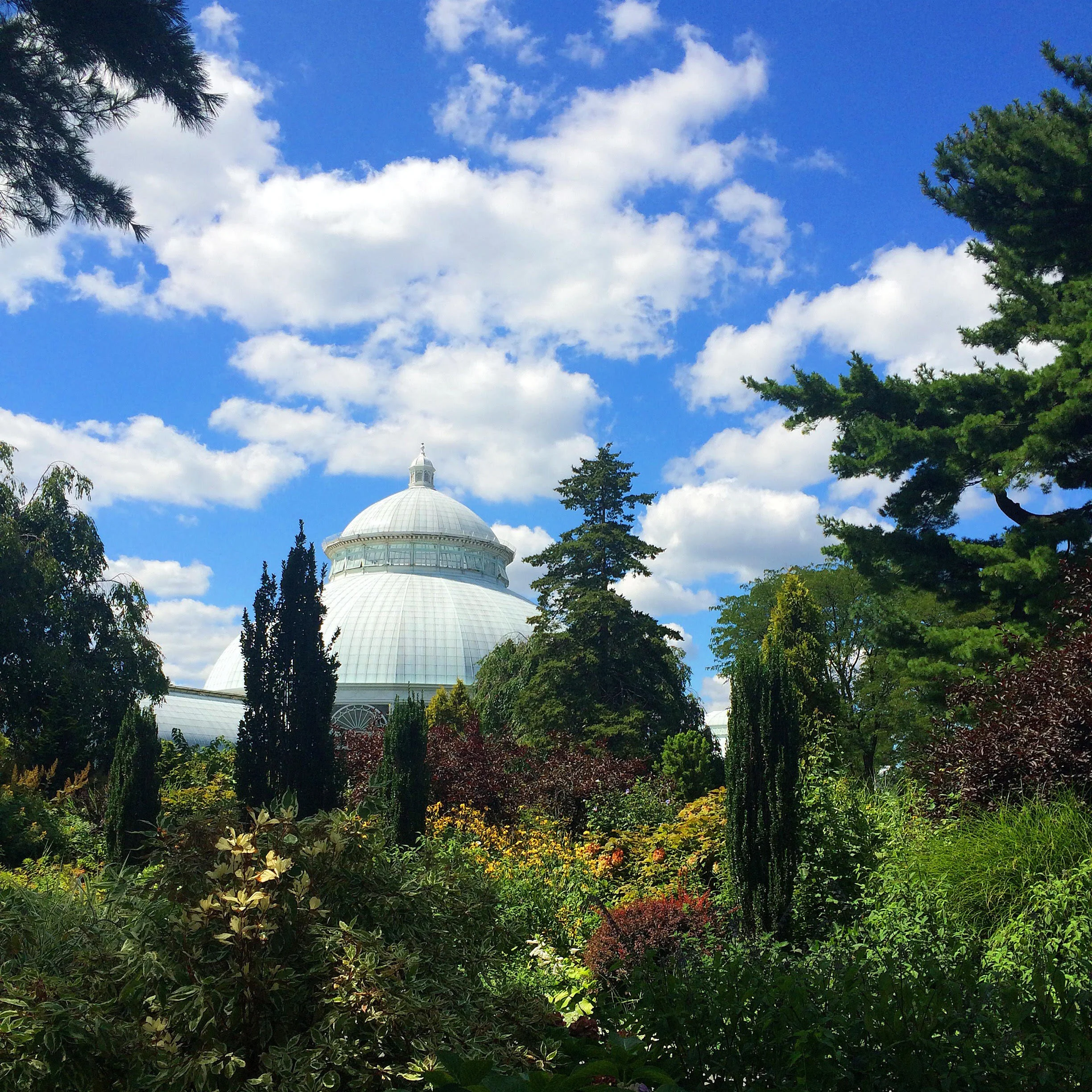 Clouds Botanical Garden.jpg