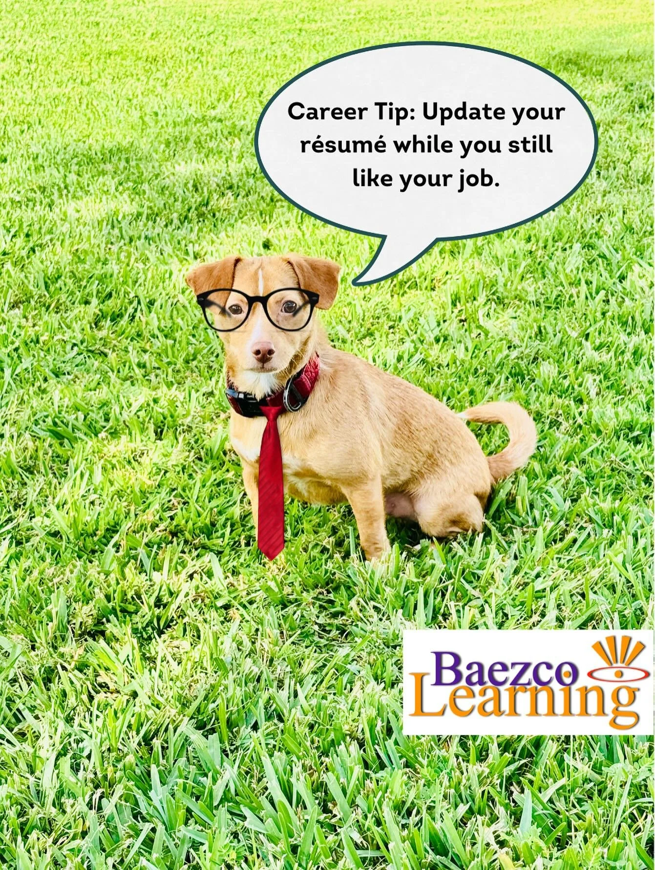 Career tip: Update your r&eacute;sum&eacute; while you still like your job.

When you&rsquo;re in a good place, you write about your accomplishments with confidence, not desperation.
You remember the wins clearly.
You highlight your value instead of 