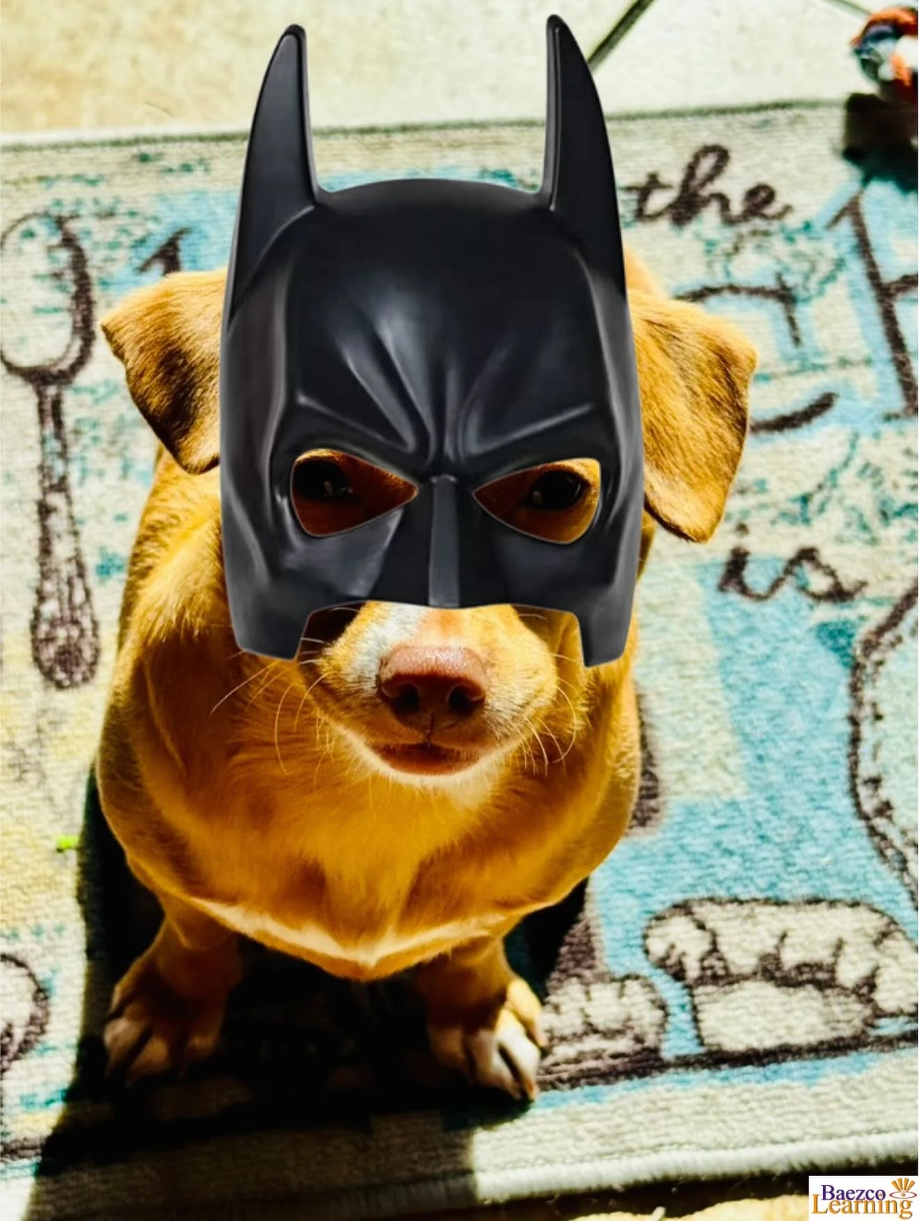 Is that Copper the HR intern?

Or is that Batman?

Who cares!

What matters is the work getting done.

 What matters is focus on the bottom line.

Your best employees are still human (Copper &ldquo;Thinks&rdquo; he is 😂 ).

 They bring personality, 