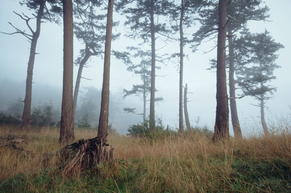 Brooks Point, Pender Island