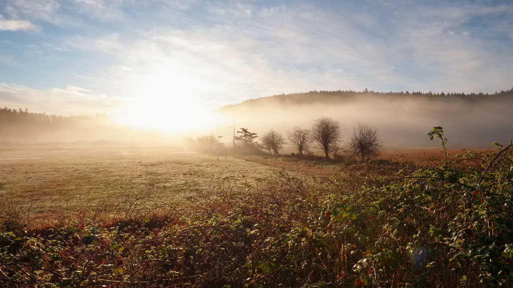 Sunrise through the mist