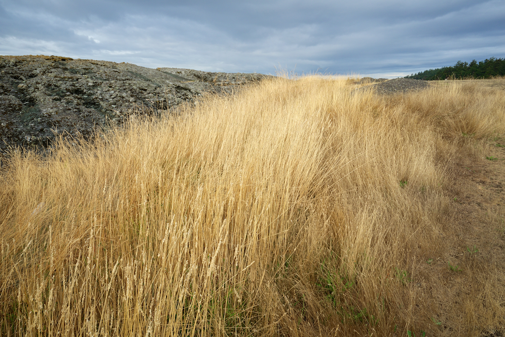 South Pender bluff