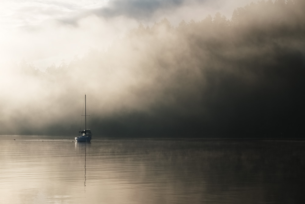 Rising mist at Browning Harbour