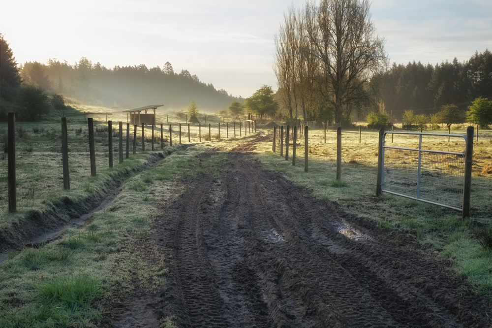 Farm road