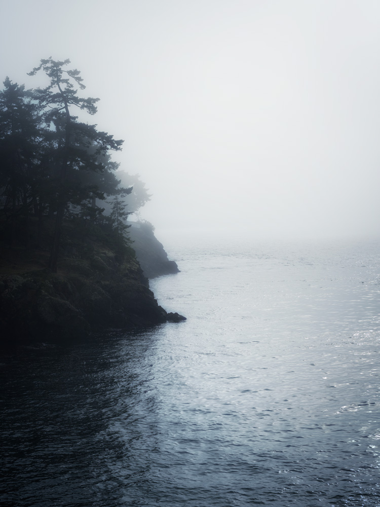 Foggy shore