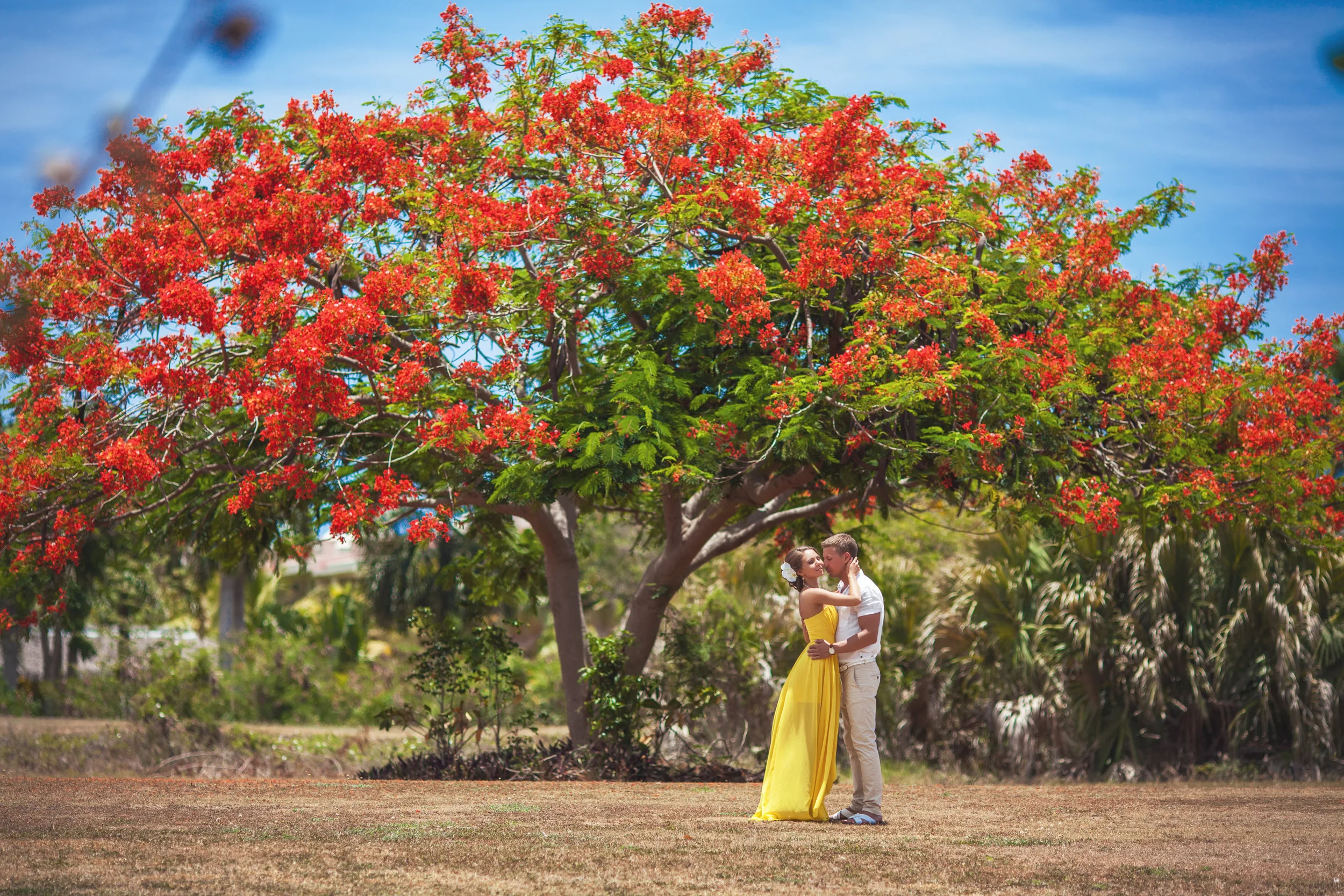 The best photographer in the Dominican Republic