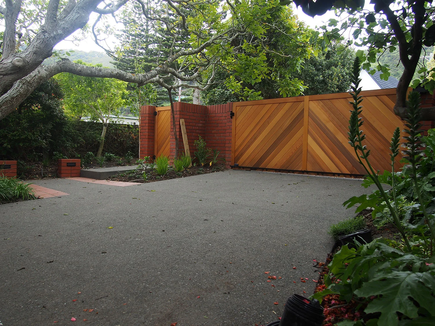 DRIVEWAY PB250027.jpg