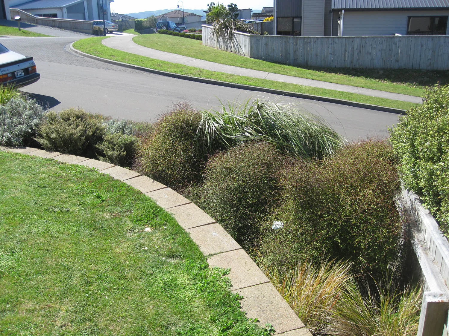  We needed plants that grew well in a difficult windy location and Laurie’s planting plan took care of that for us –&nbsp;Judy 