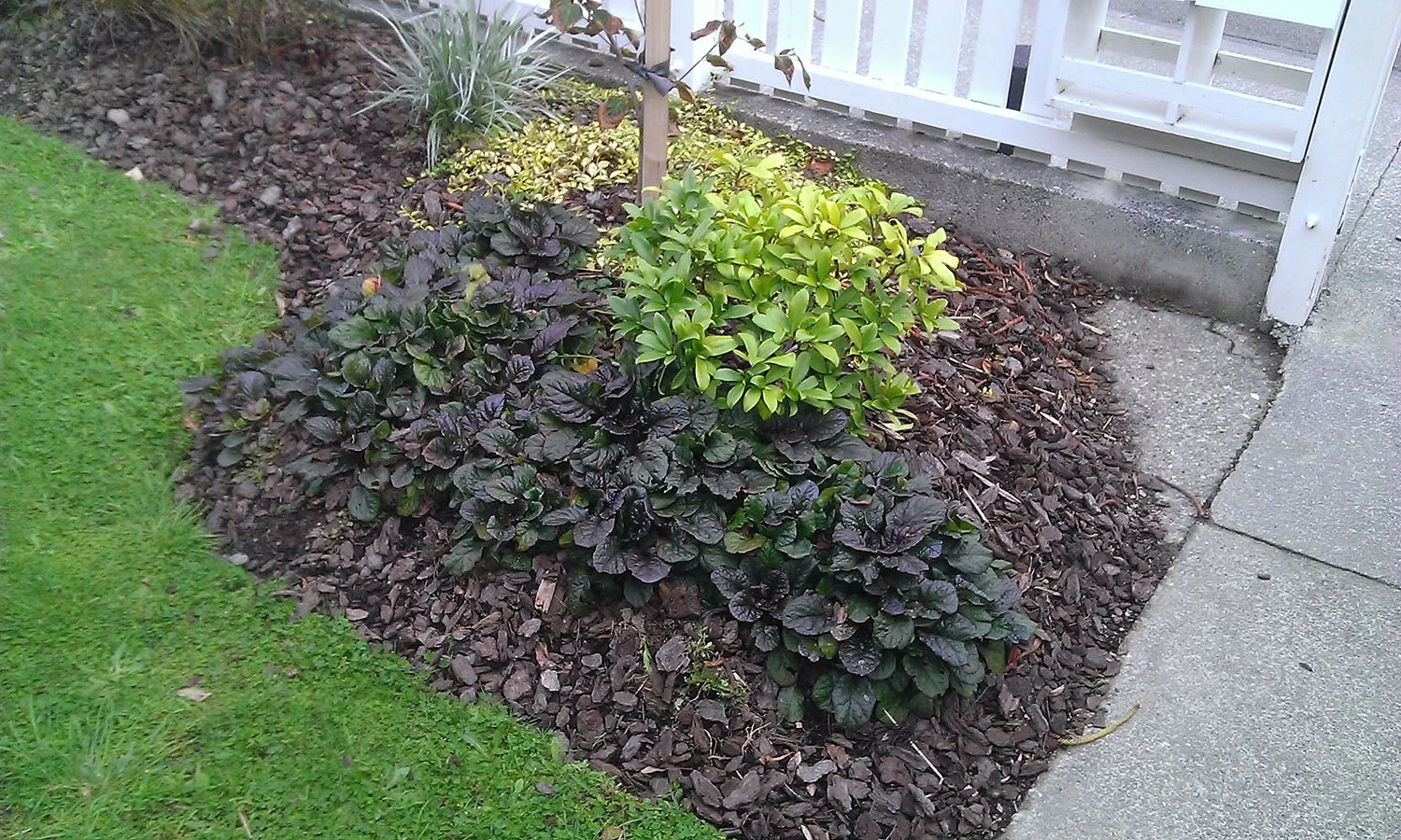 Windows Phone_20150414_002.jpg