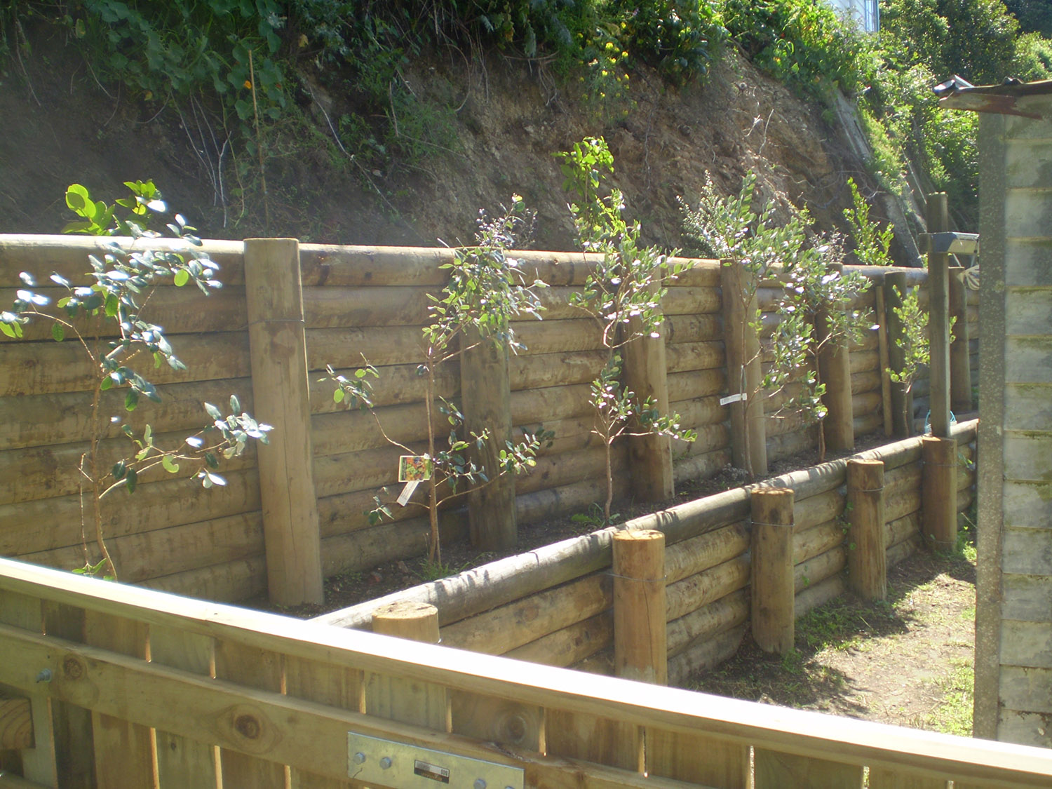 RETAINING WALL P3070005.jpg