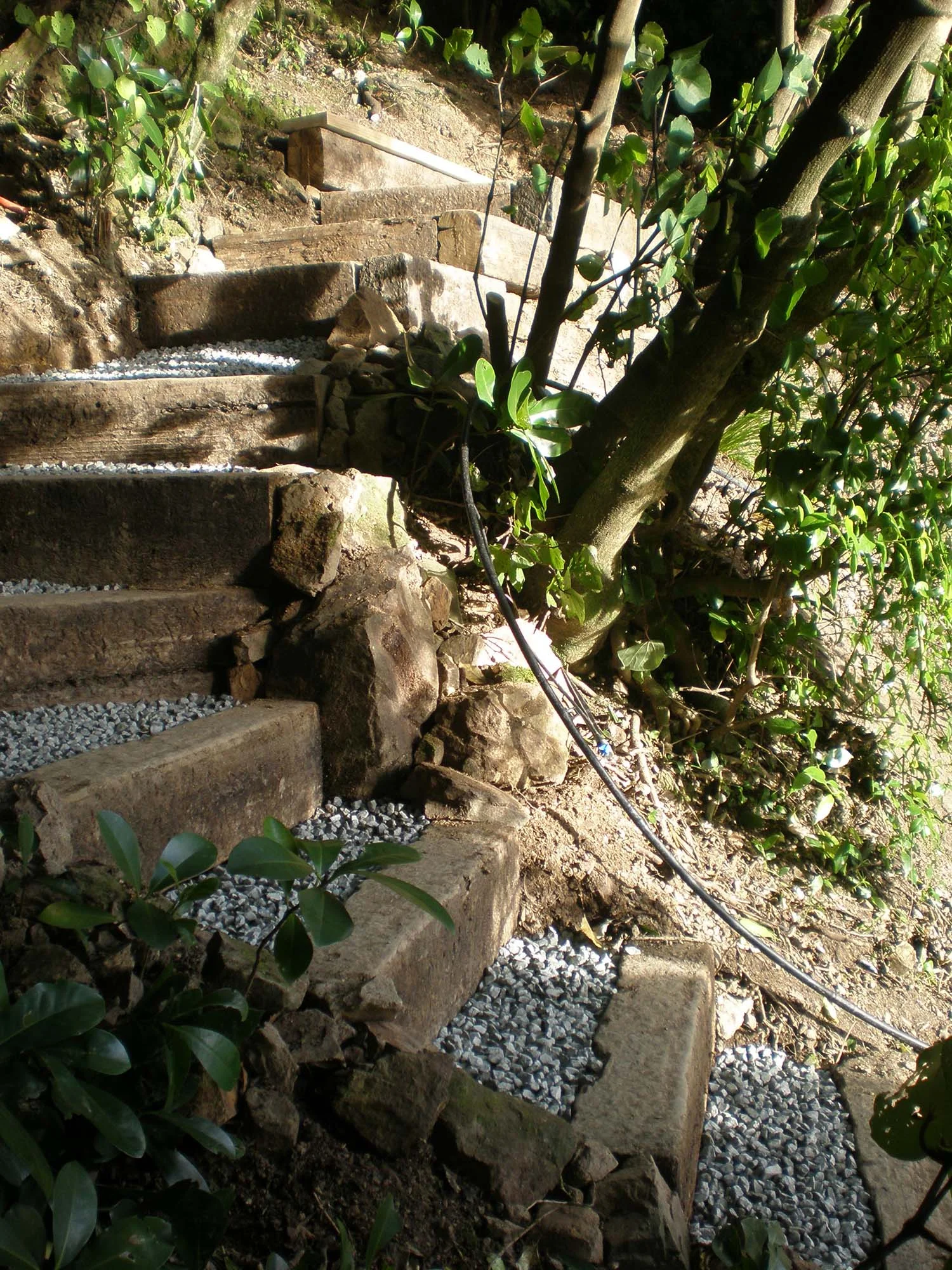 STEPS eastbourne steps 004.jpg