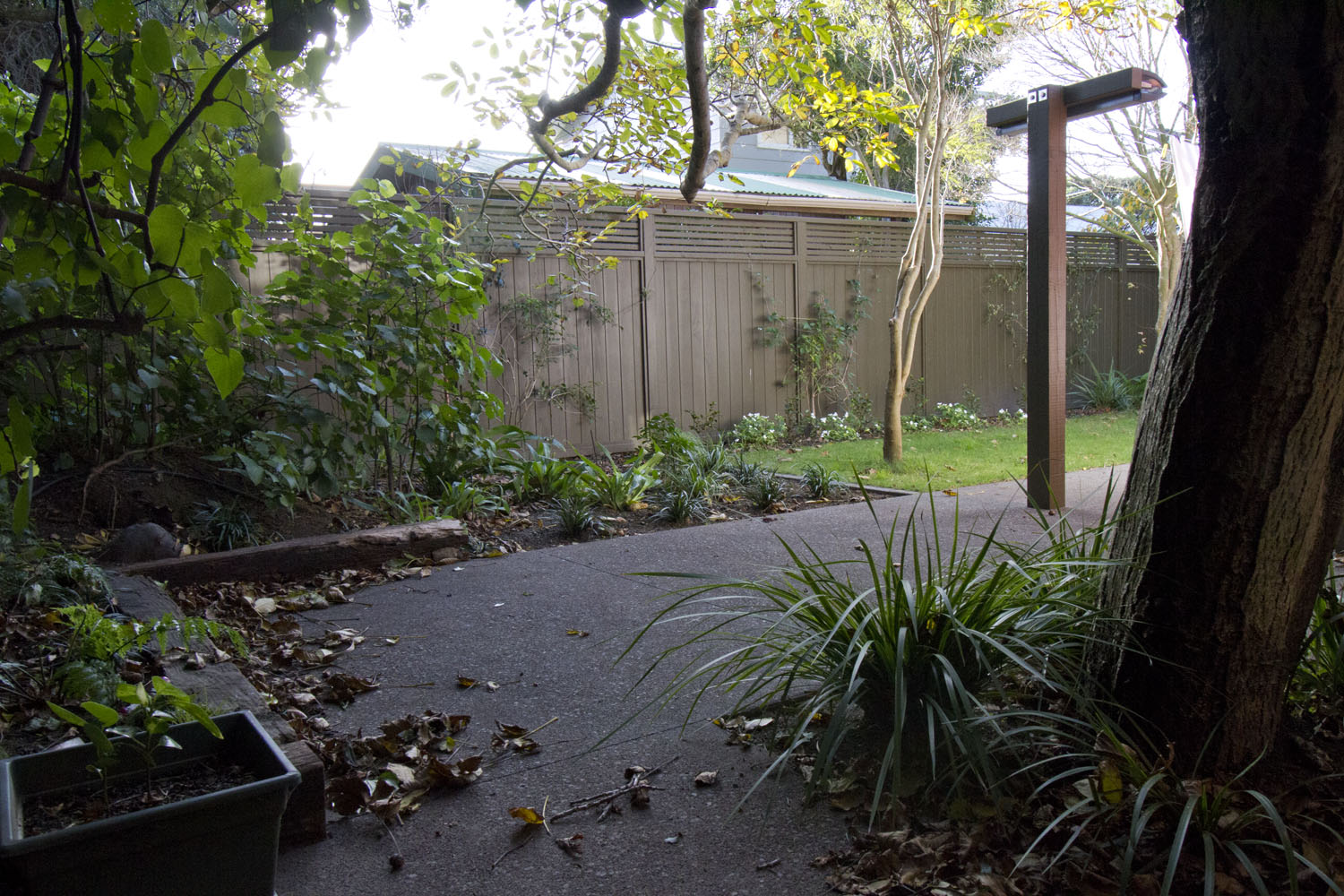 Dale Shirtliff - _MG_9651.jpg