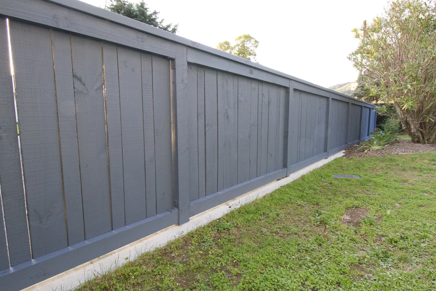 Dale Shirtliff - _MG_9676.jpg