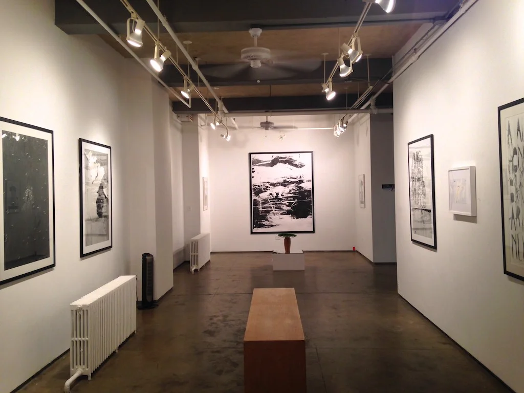 Solo exhibition at Denise Bibro Gallery 2015