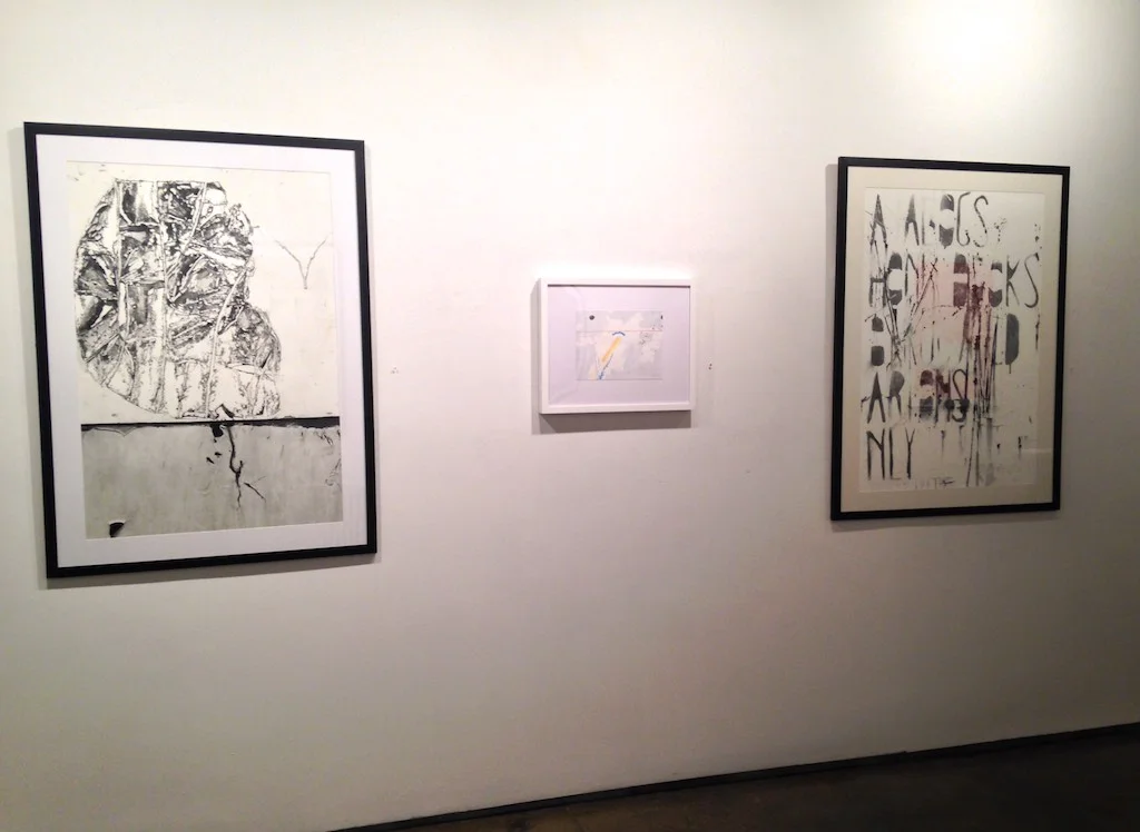 Solo exhibition at Denise Bibro Gallery 2015