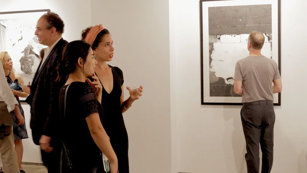 Solo exhibition at Denise Bibro Gallery 2015