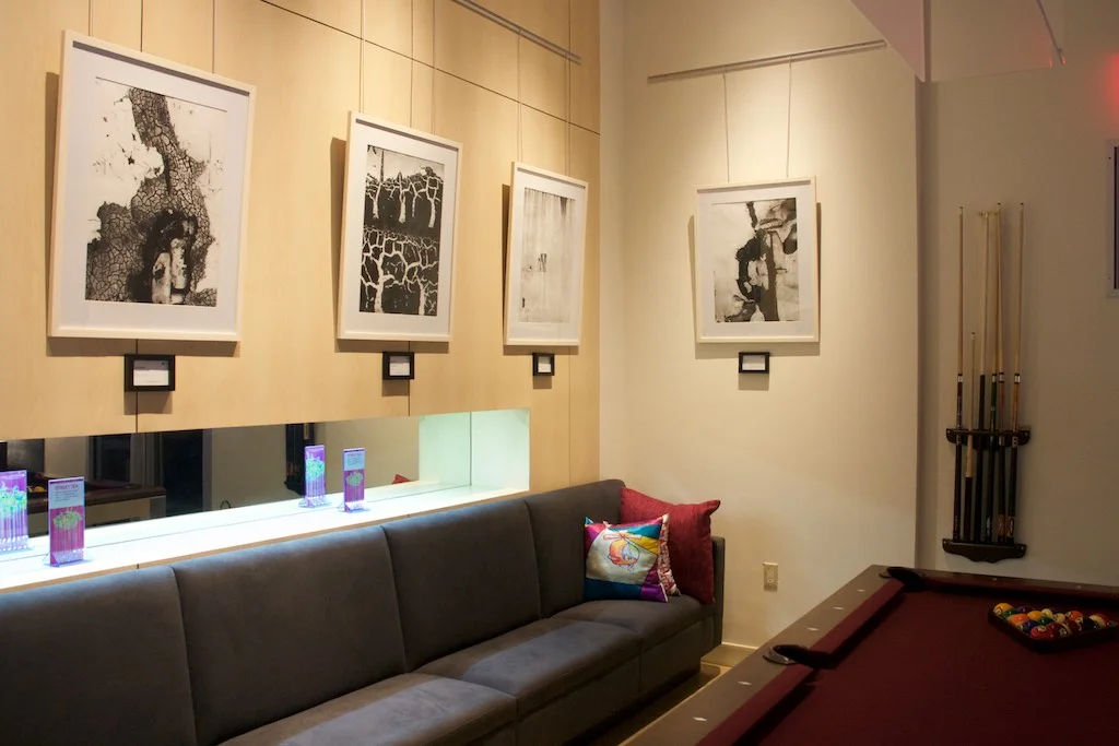 Exhibition at ALoft Hotel August 2015- February 2016