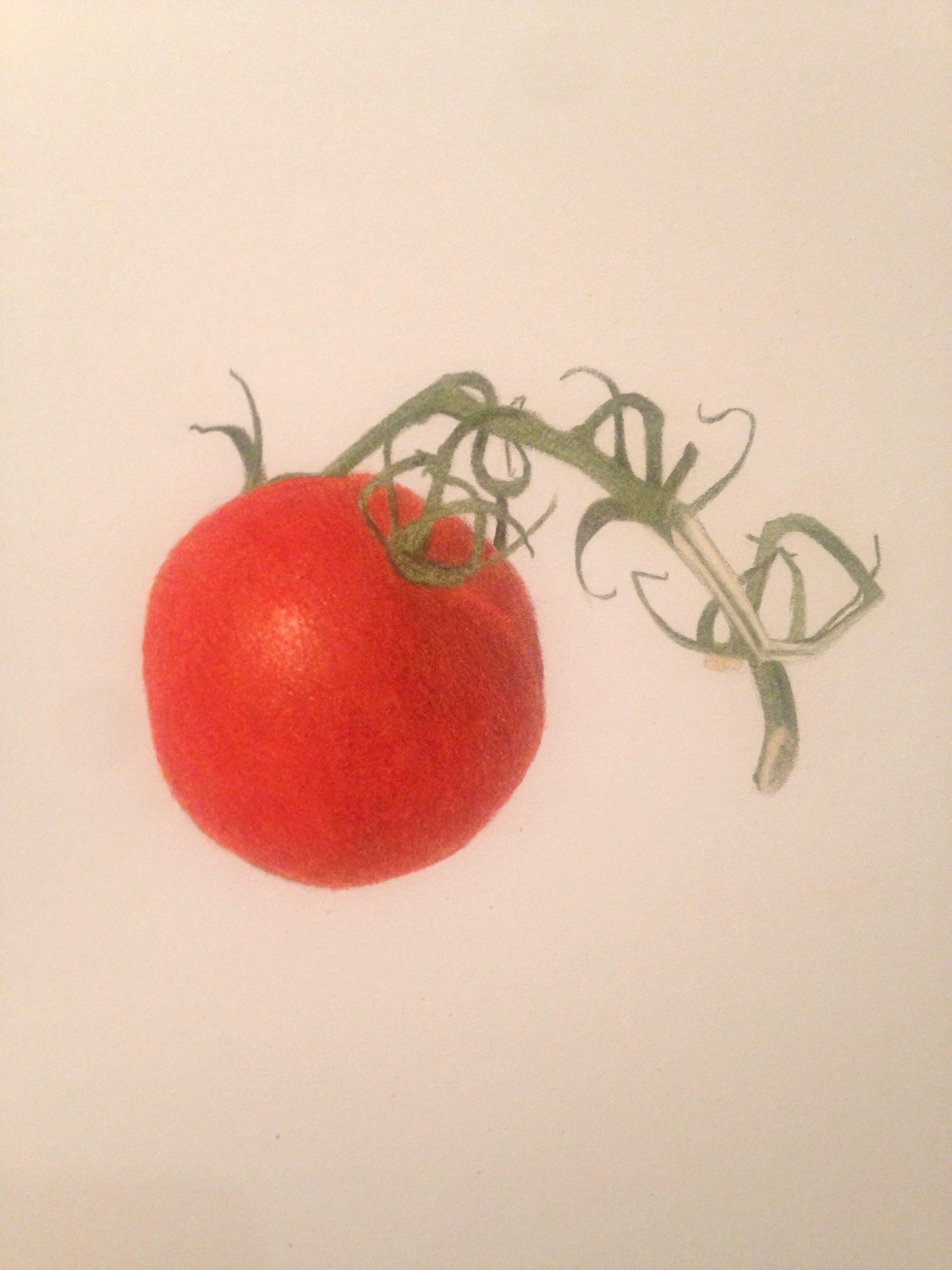 Tomato