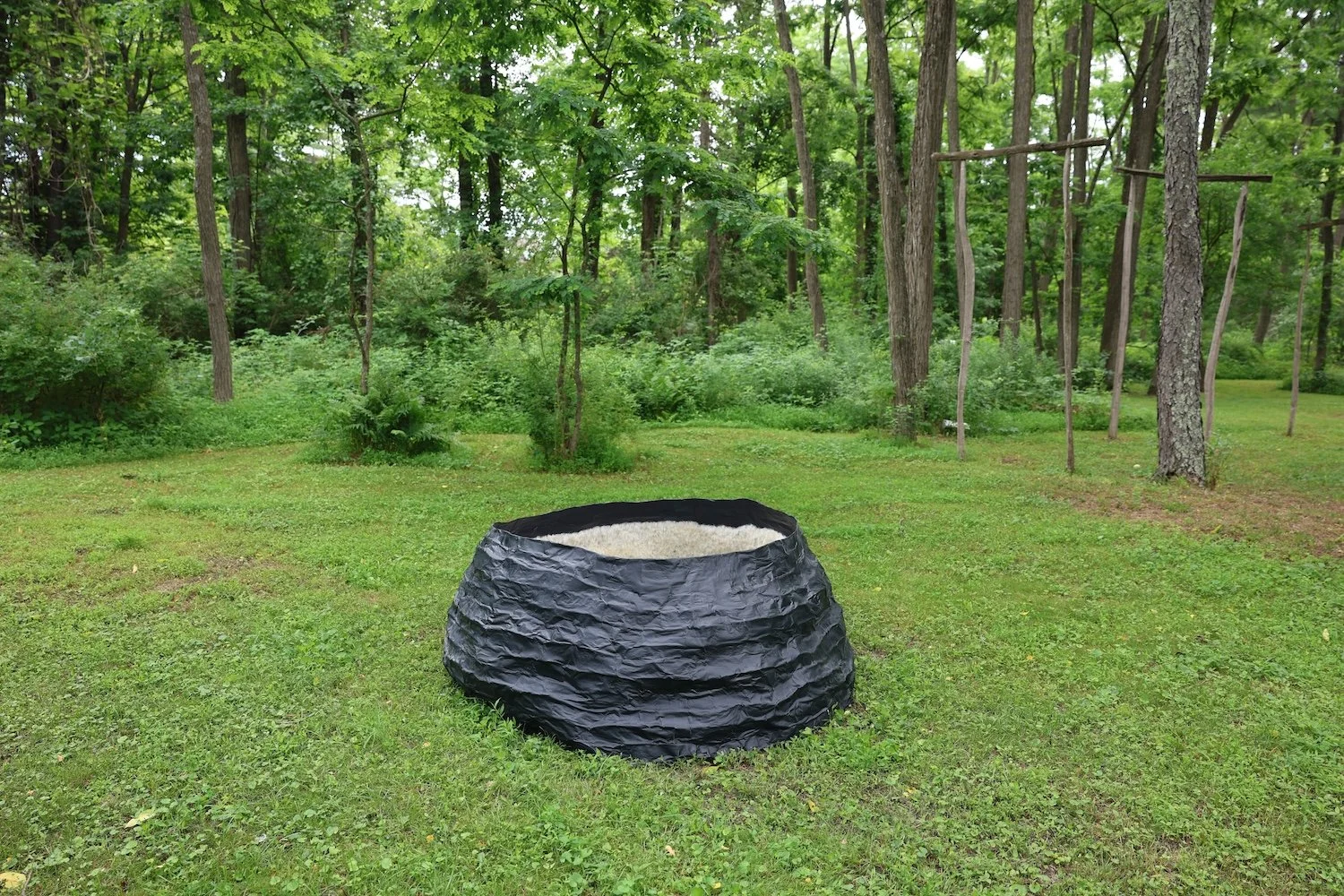 Comfort Sculpture- Performance at Glasshouse Project