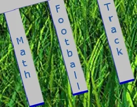 Cougar Yard Sticks Pic.jpg