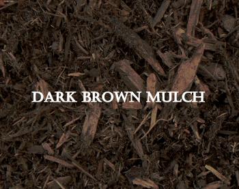 Dark Brown.jpg