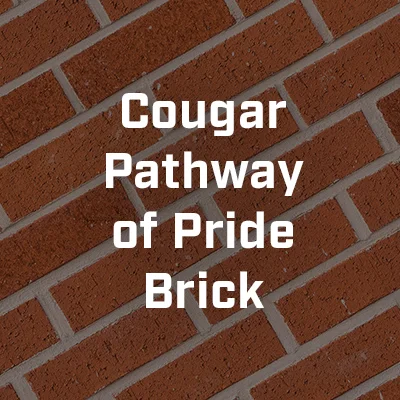 Cougar Pathway of Pride Brick