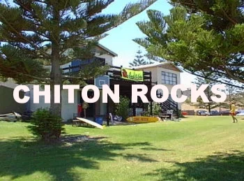 Chiton.jpg