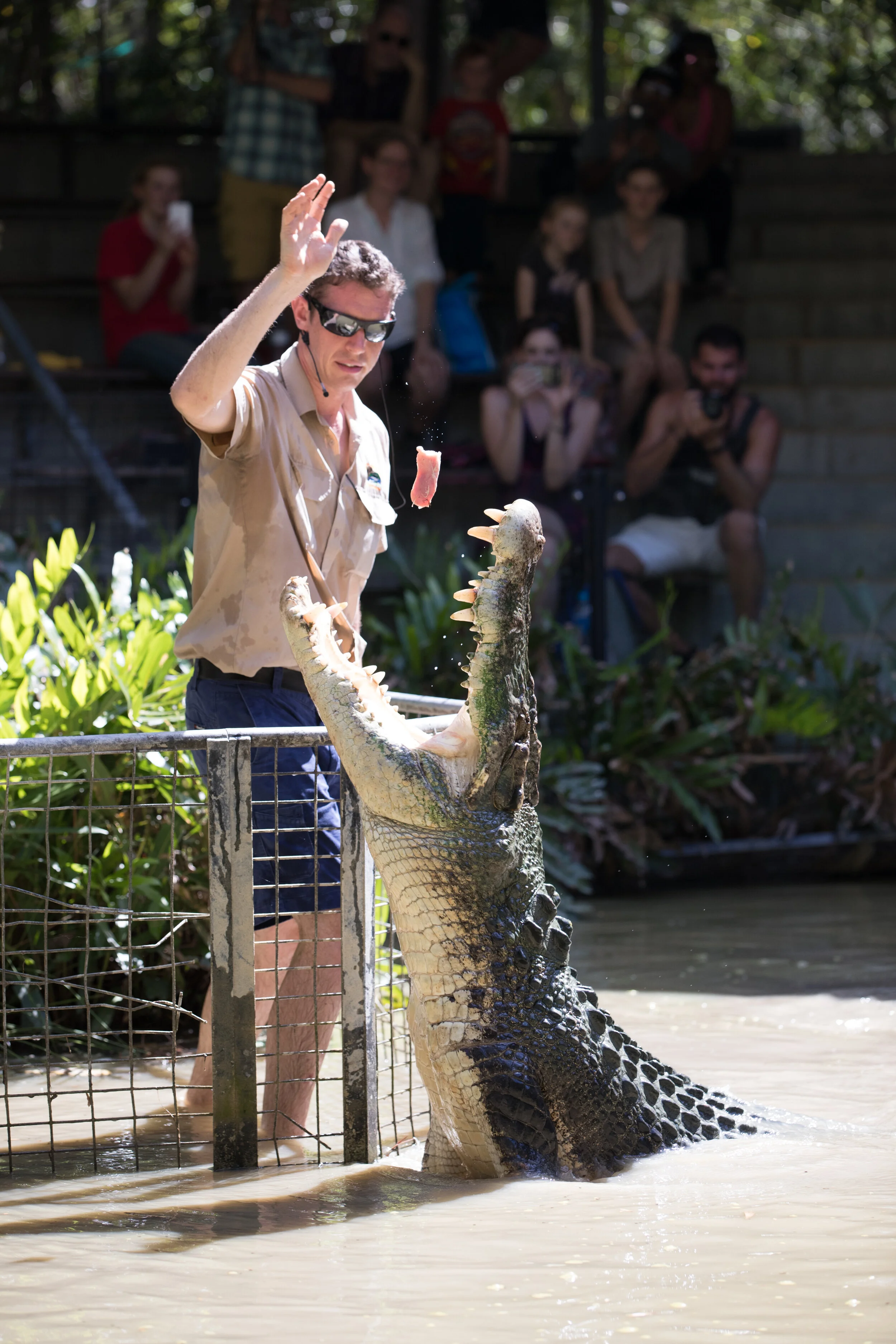 Hartley's Crocodile Adventures.jpg
