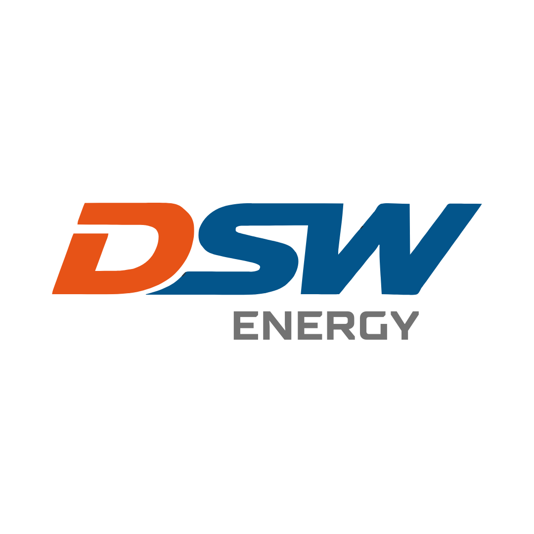 DSW- WEB 1080x1080 (2).png
