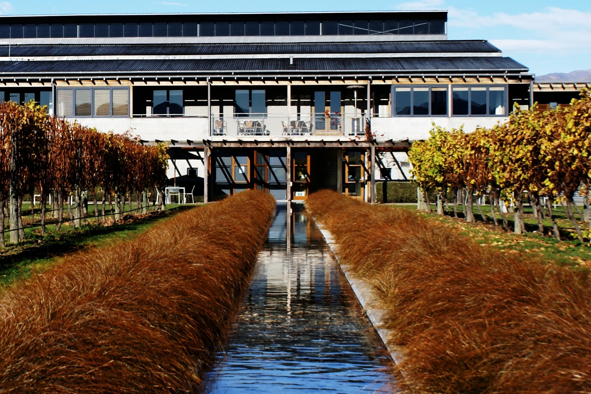 DSC04822(1) - Version 2.jpg