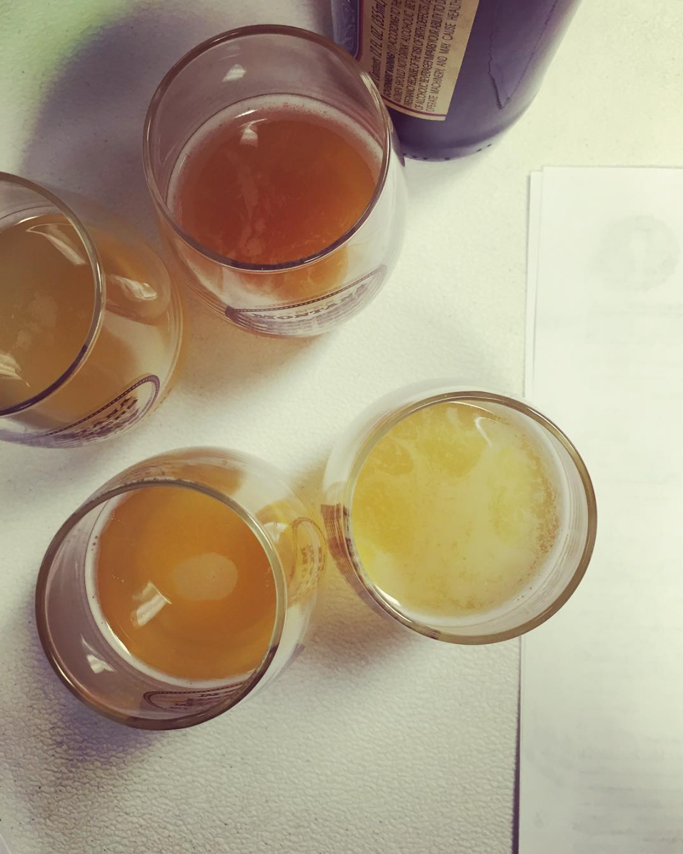 Tasting Class.png