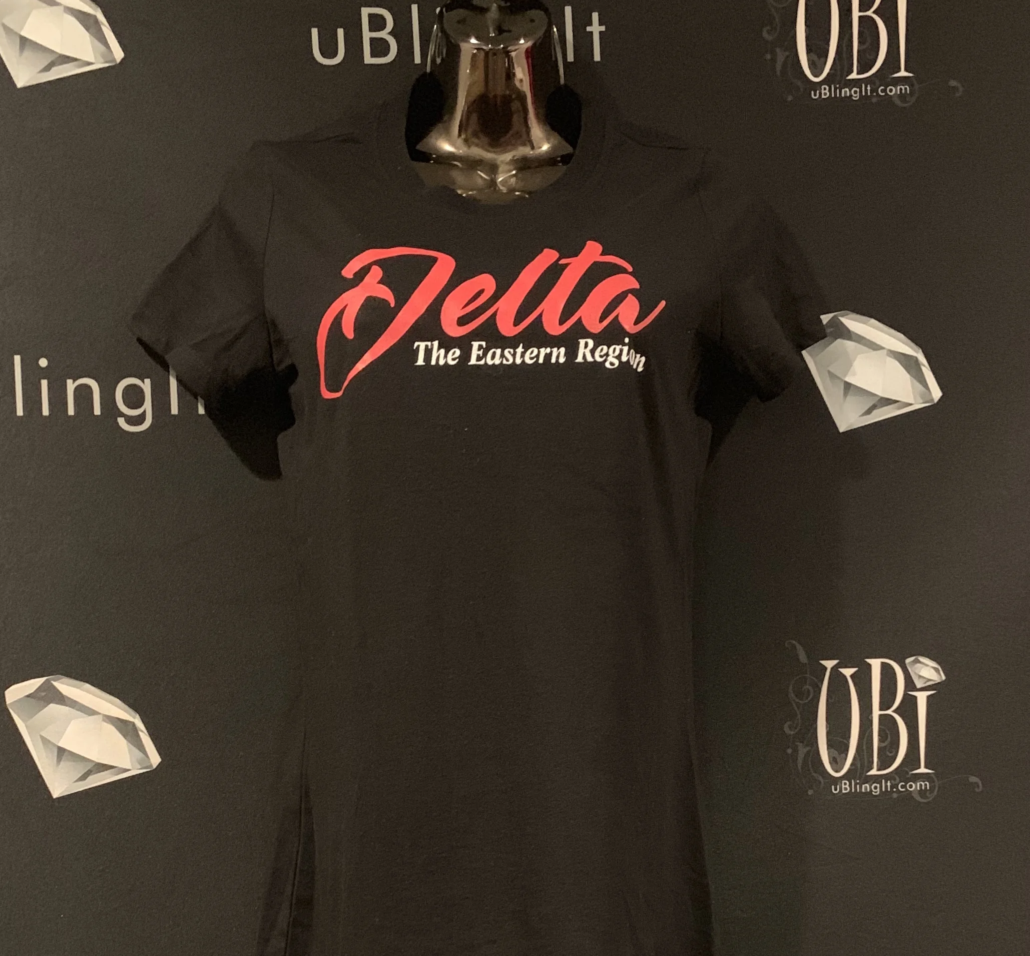 Delta...The Eastern Region.JPG