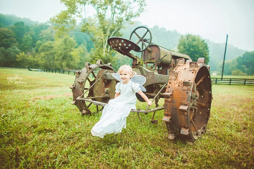 TRACTOR-FOG(pp_w822_h548).jpg