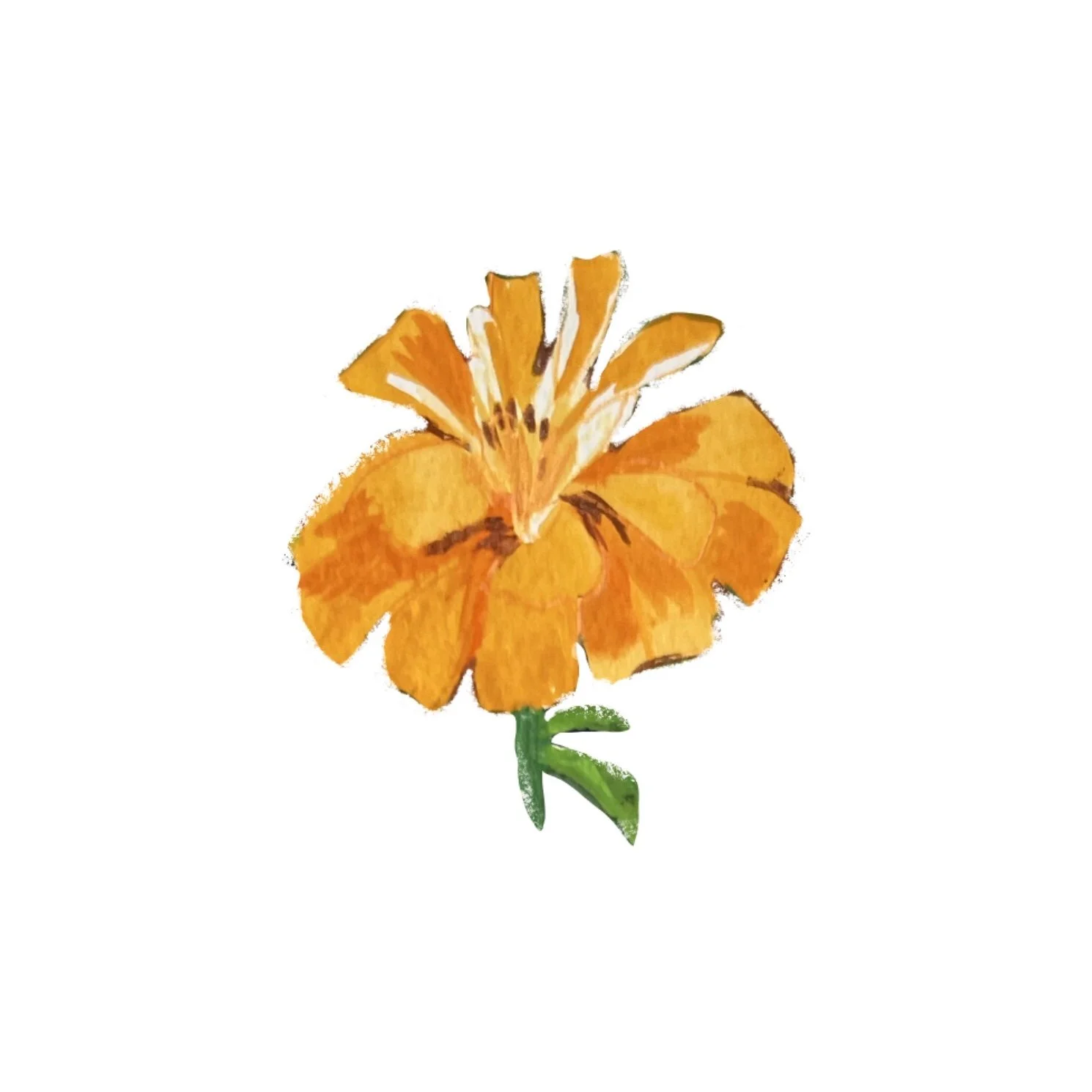 On Grief and Gardening