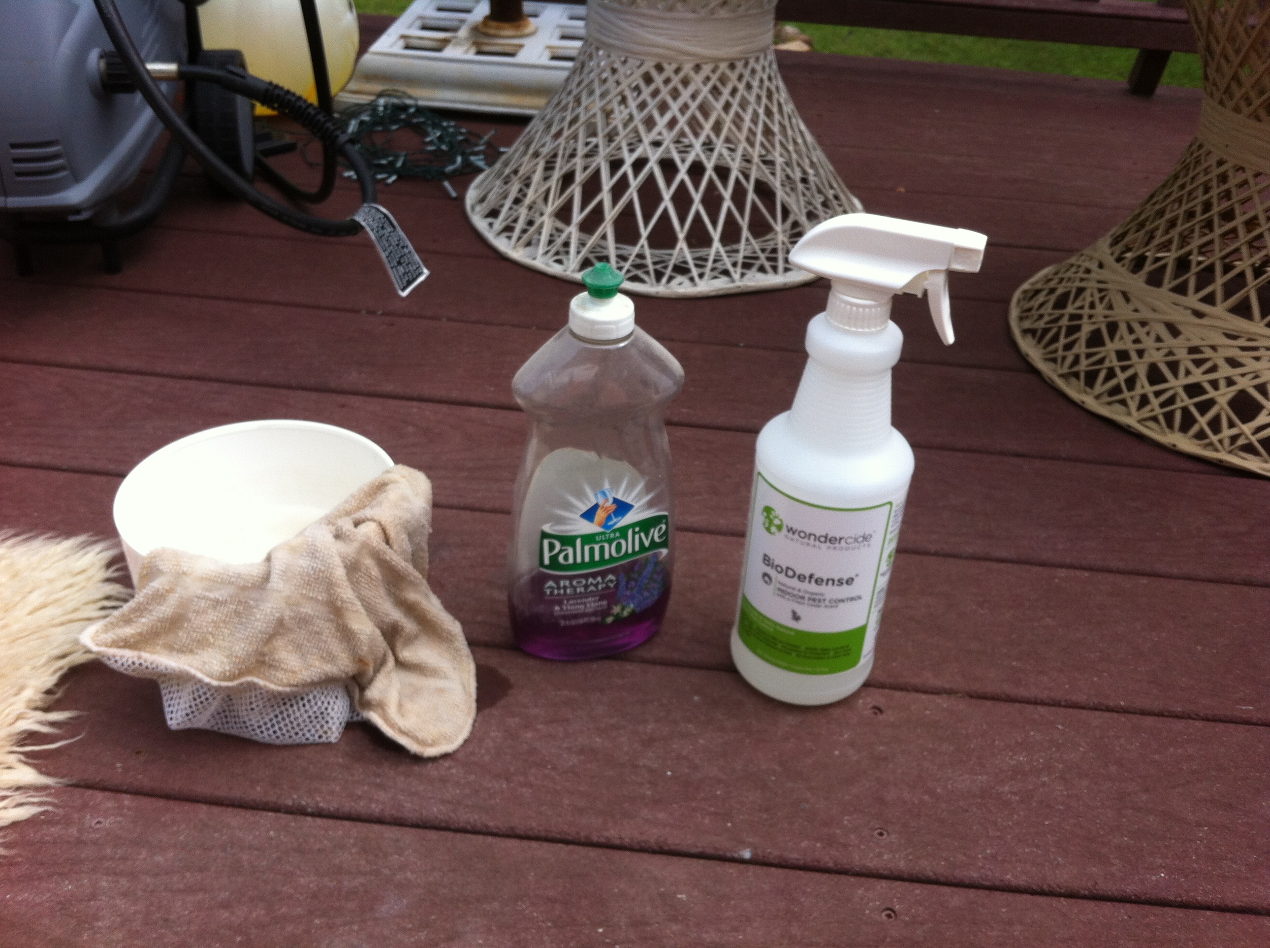 My arsenal of cleaning products.