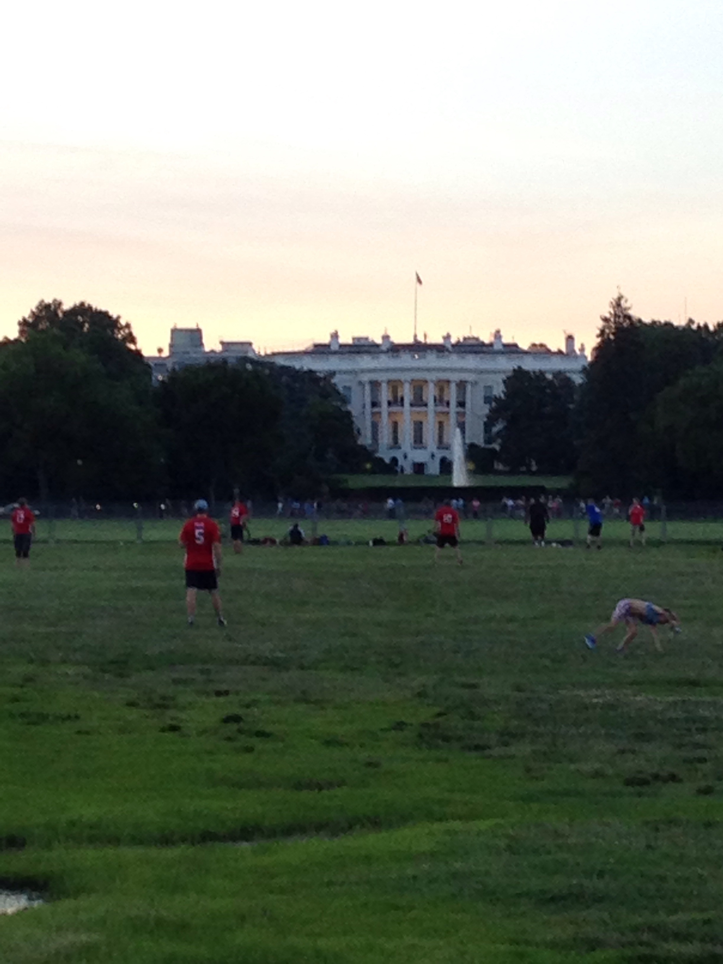 The beautiful White House.