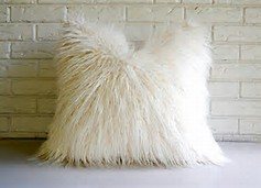 fur pillow.png