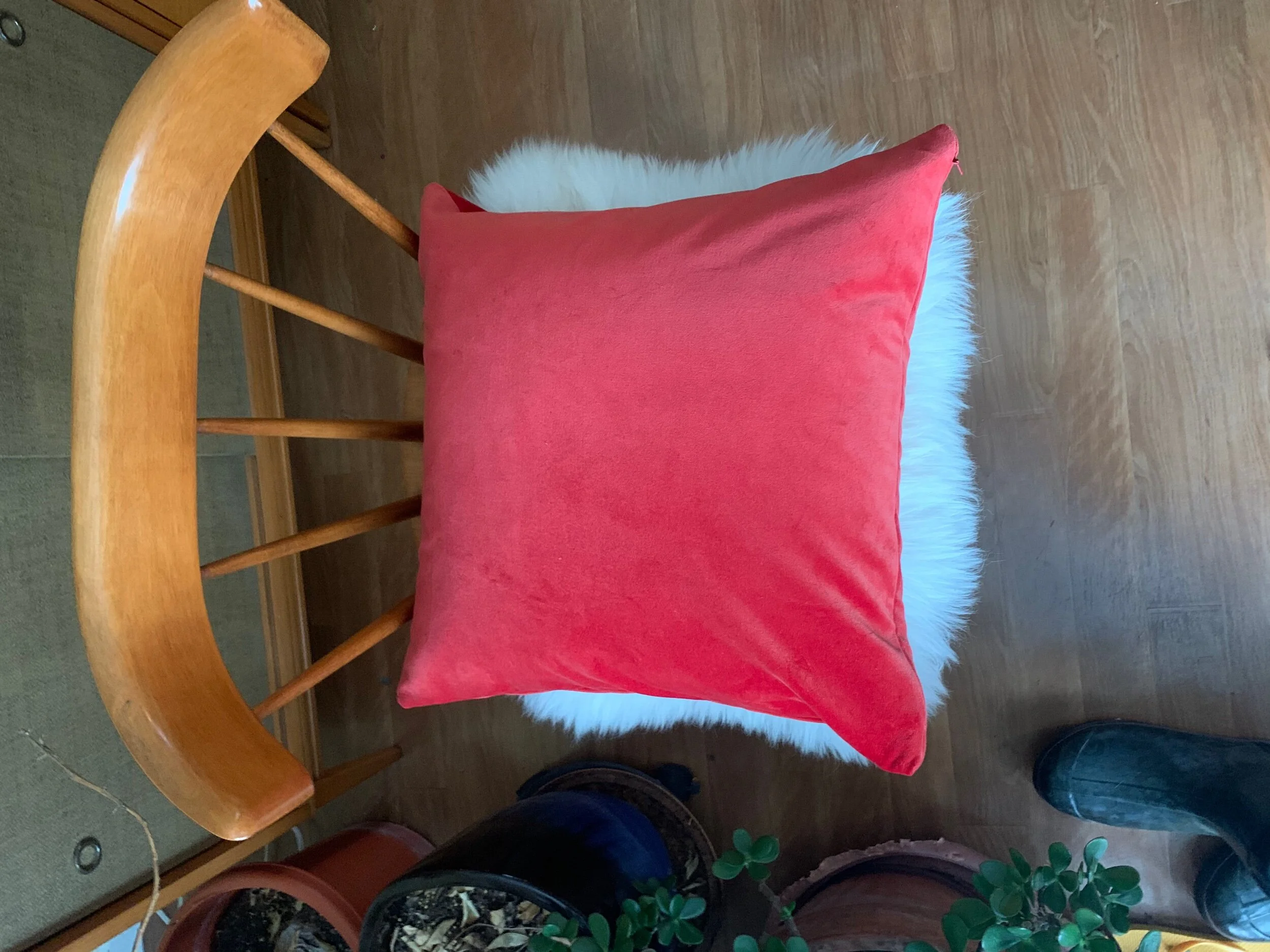 F11DE15B-2113-4D69-892D-B1BA20958FC7