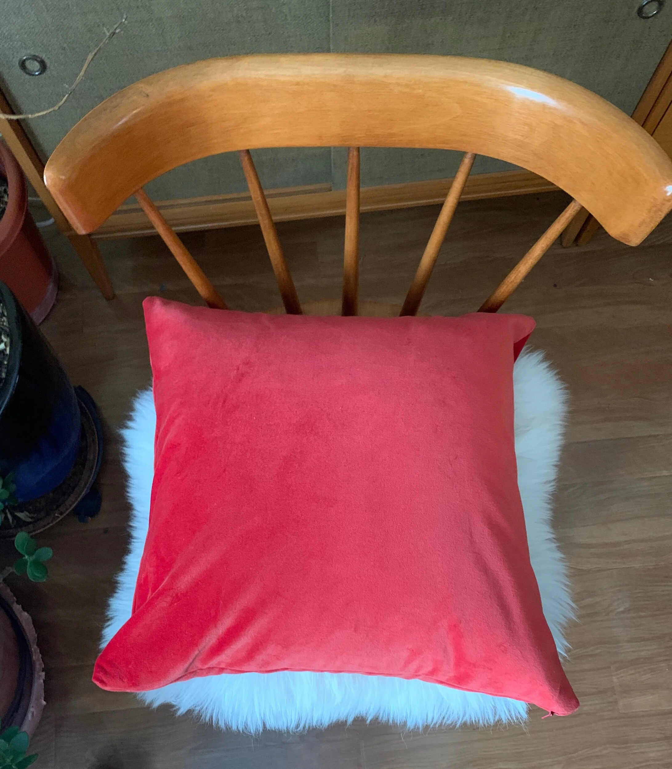 8D487D22-39B0-47EB-9842-6FEA3E0E42D5