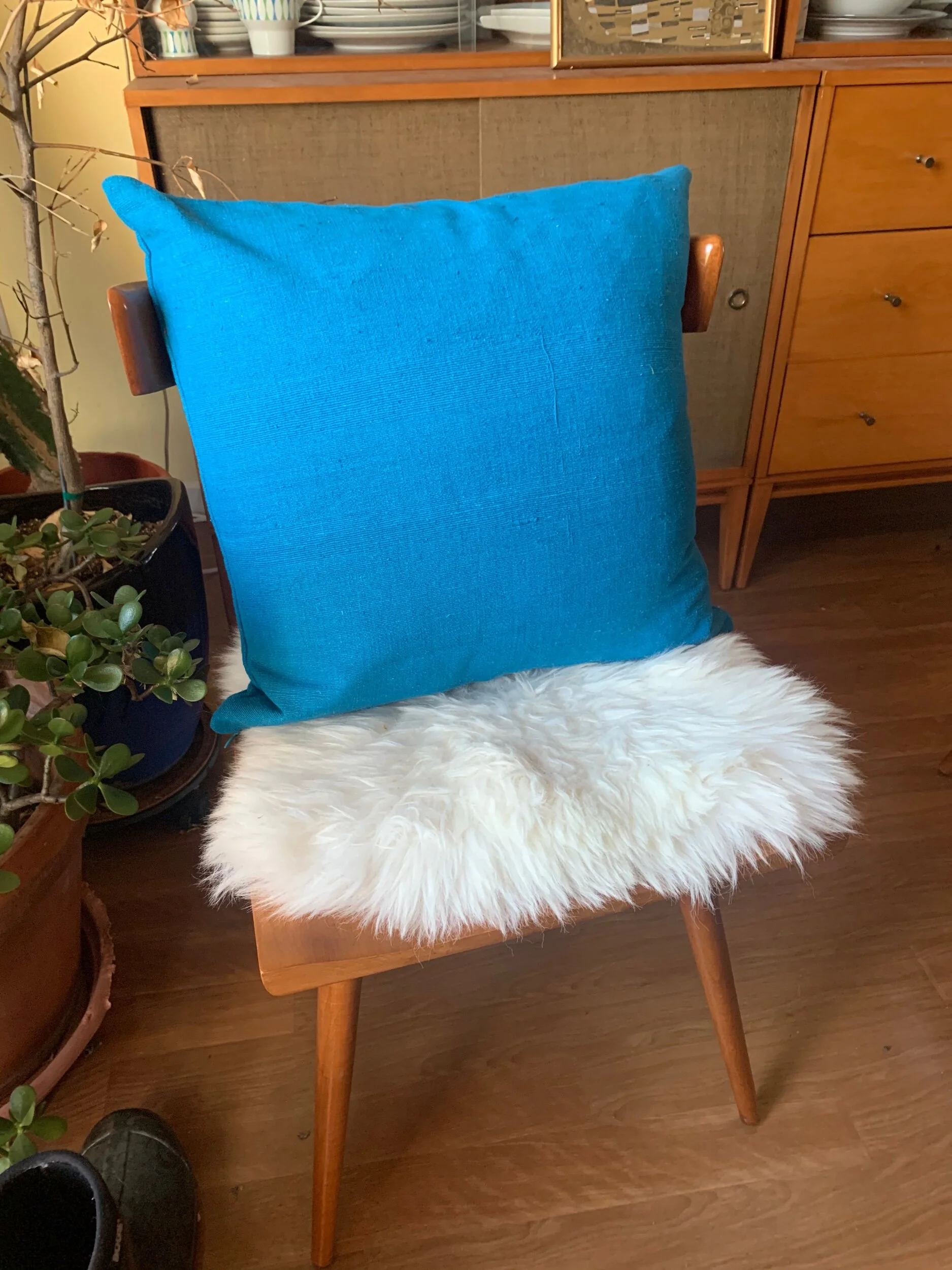 804FFC5F-2B41-42FF-B36D-9D4194231D26