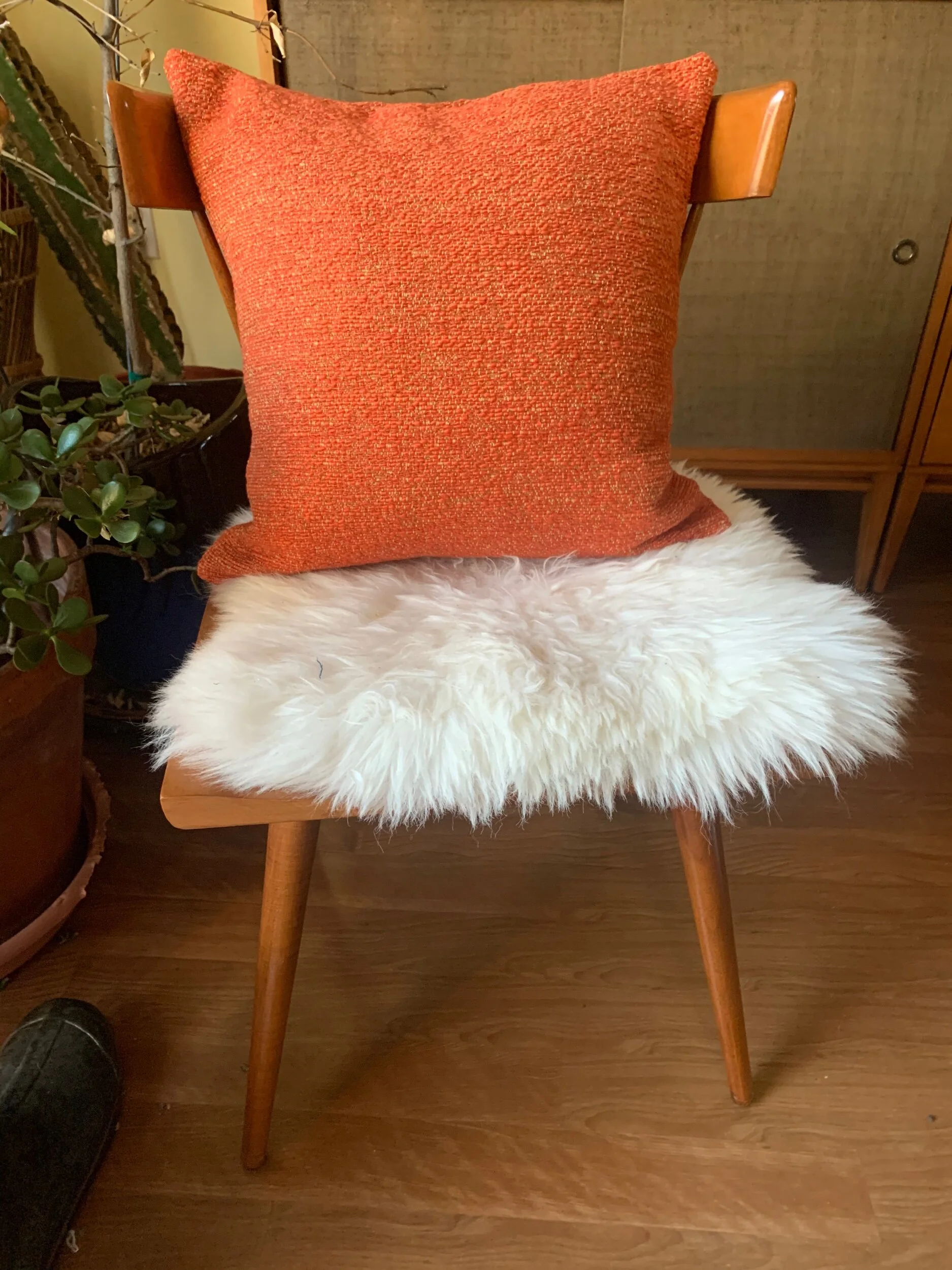 F1962417-55CA-48A4-AC6B-4F3EFCC812F5