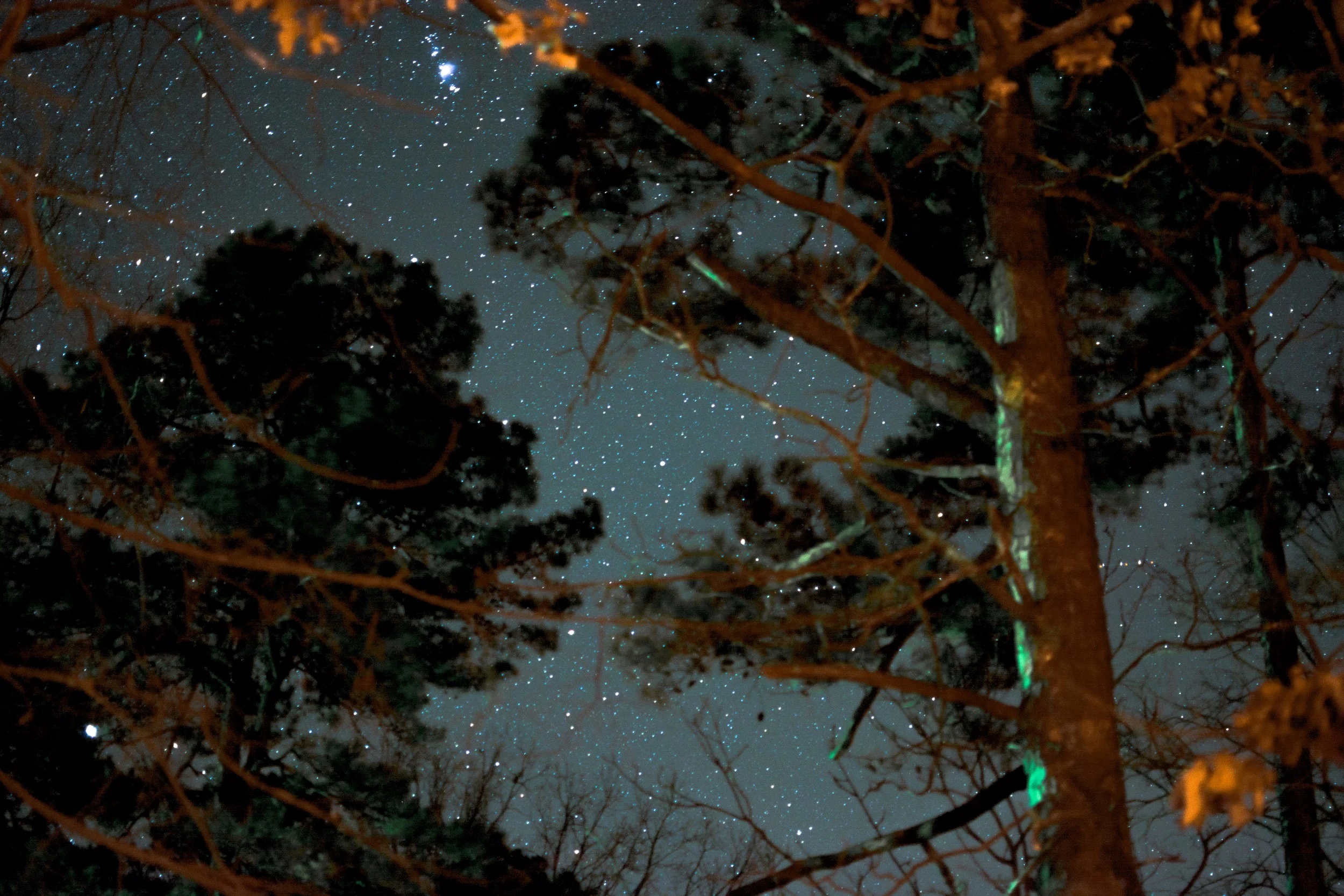 Night Time from Beaver's Bend