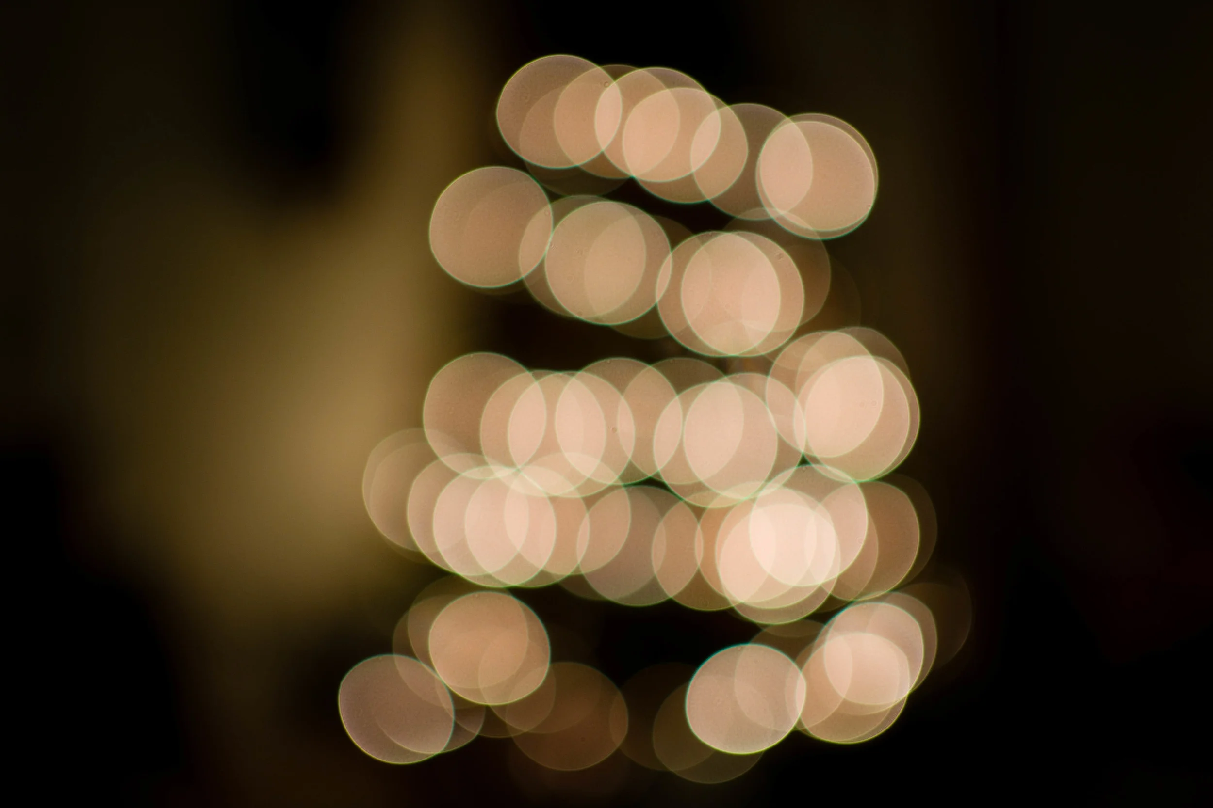 LaRublesPhoto-6.jpg