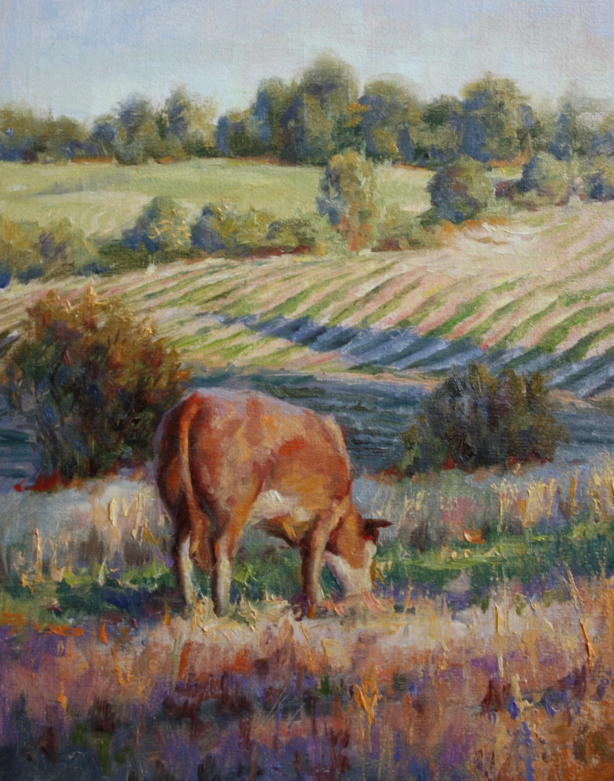 Back Pasture 11.25x8.5 $400