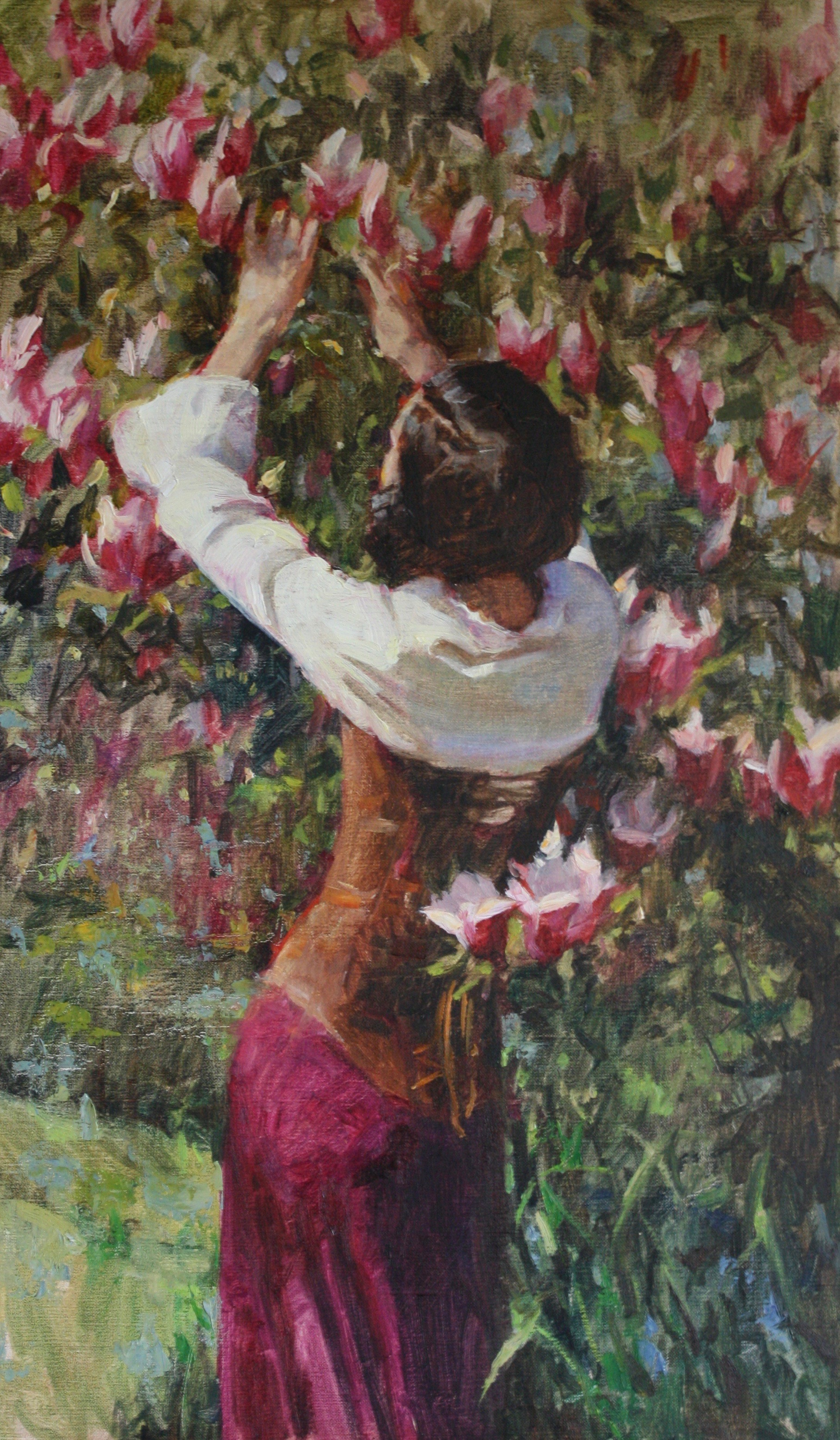 "The Tulip Magnolia Tree"
