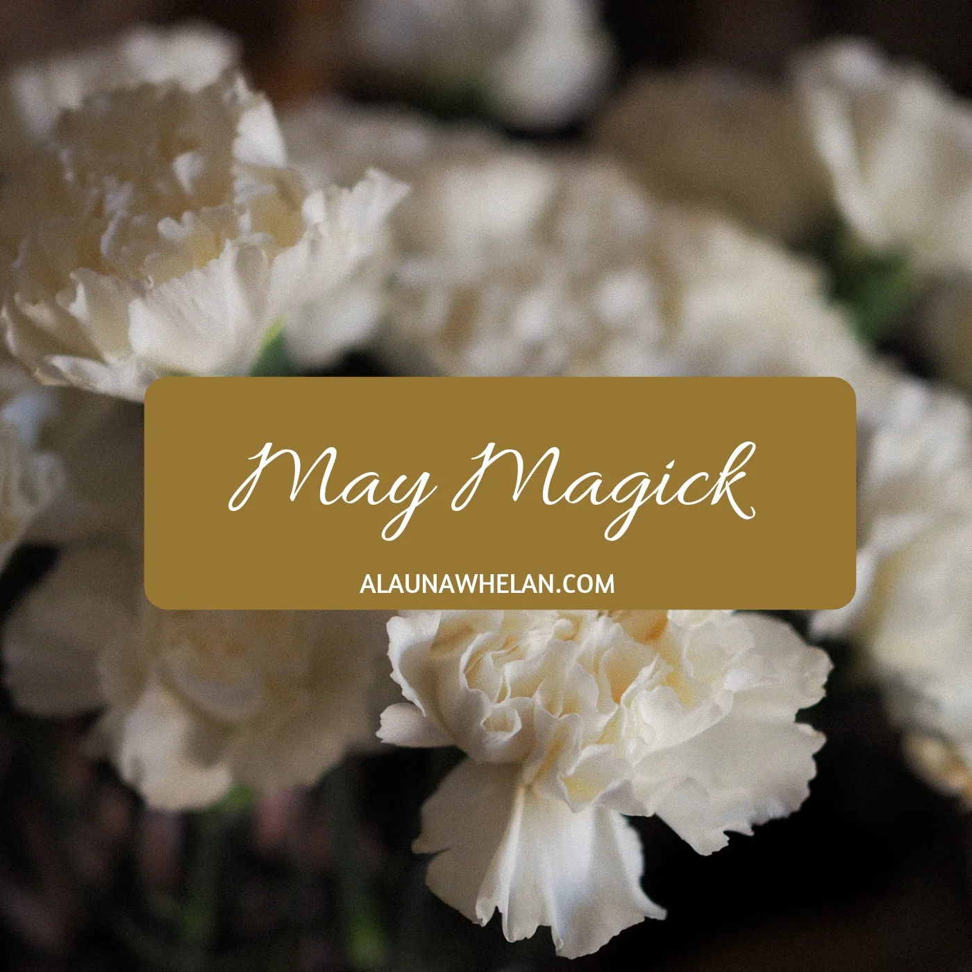 May Magick 2019
