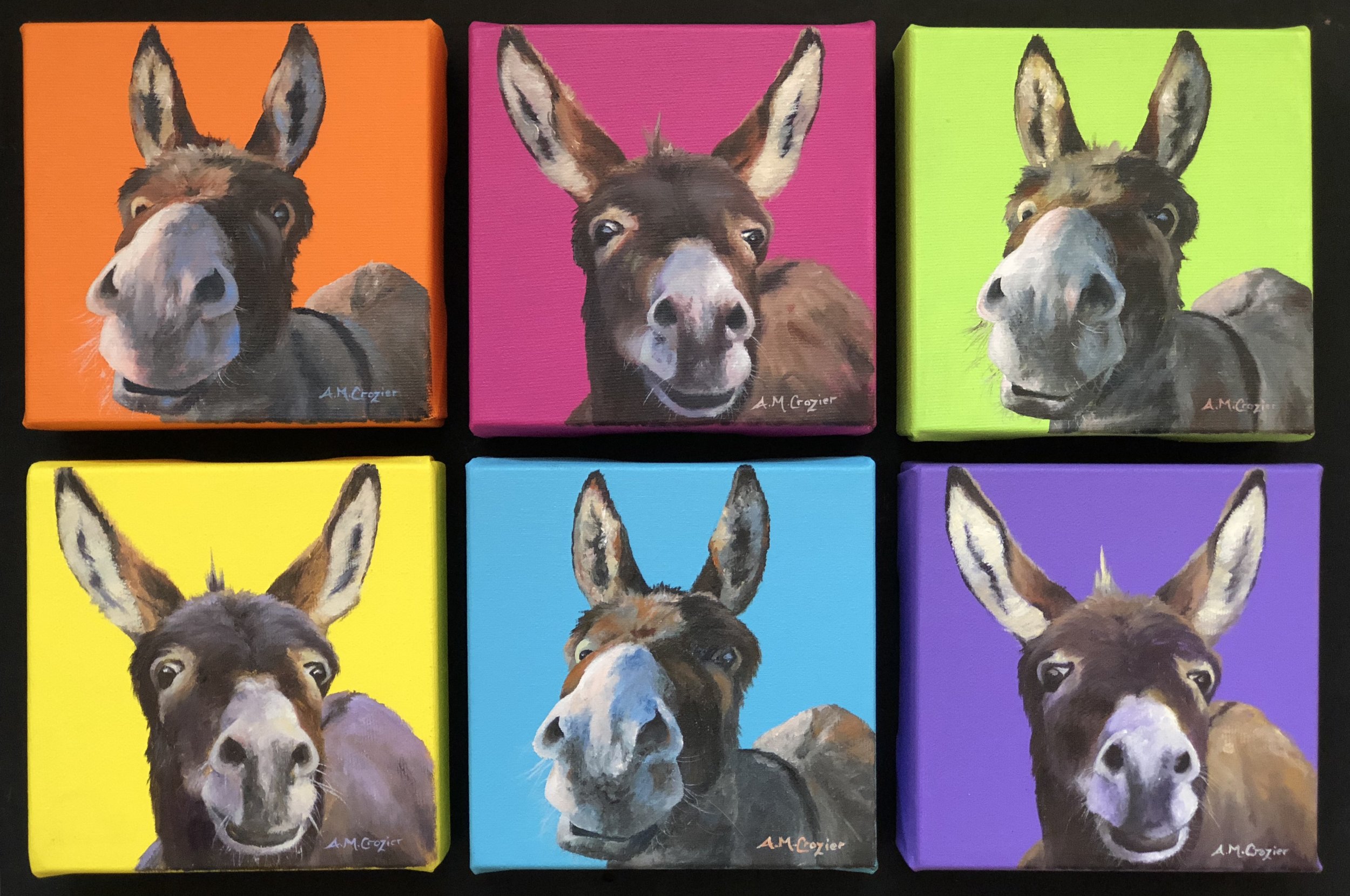 Donkey Love Series