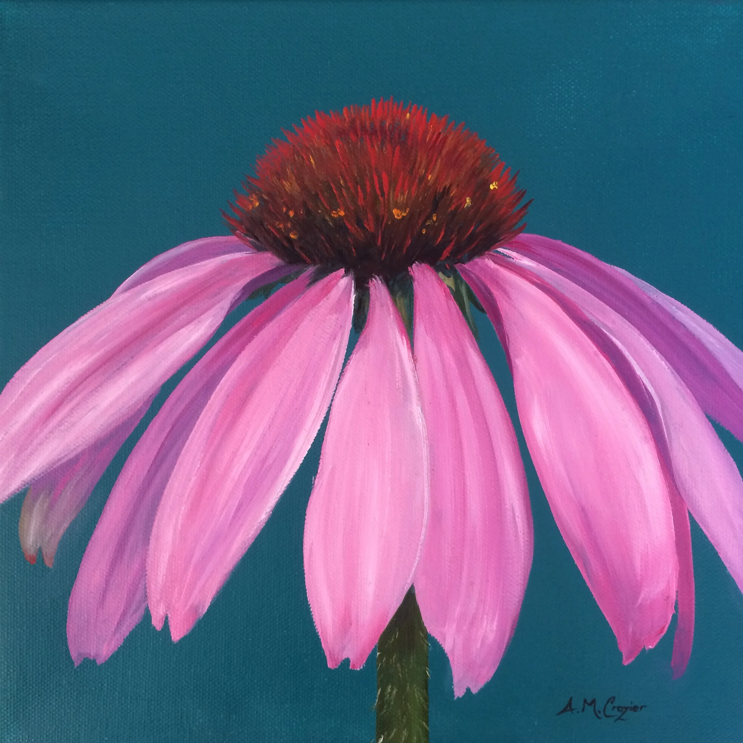 Neighbour Day at Framed on Fifth